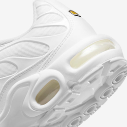 Кроссовки женские NIKE Nike Air Max Plus