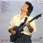 Ricardo Silveira / Long Distance (LP)