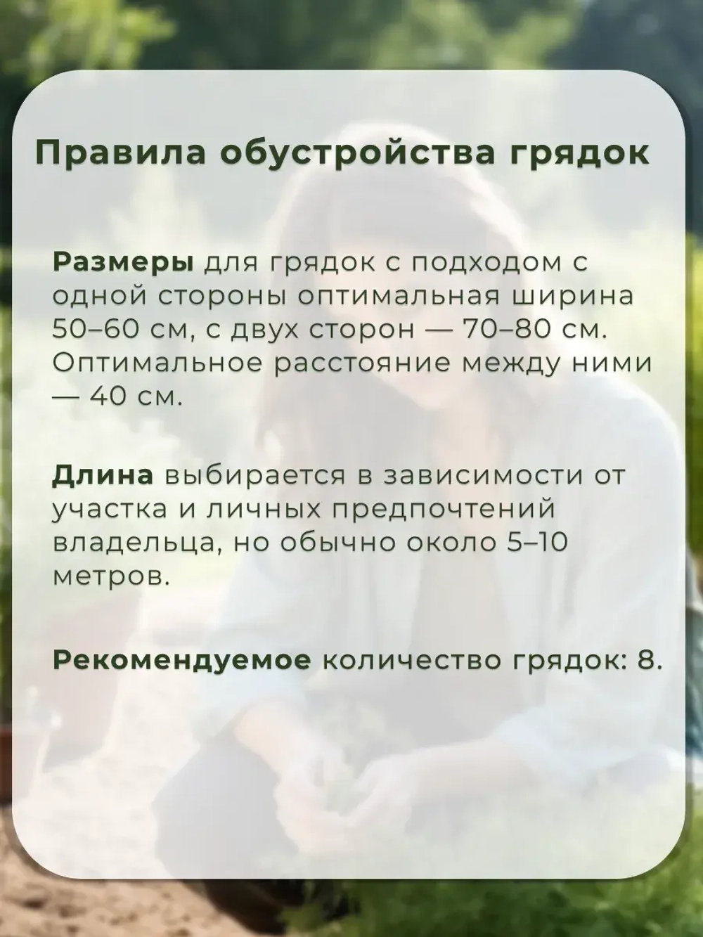 Семена укропа на зелень (50 гр)