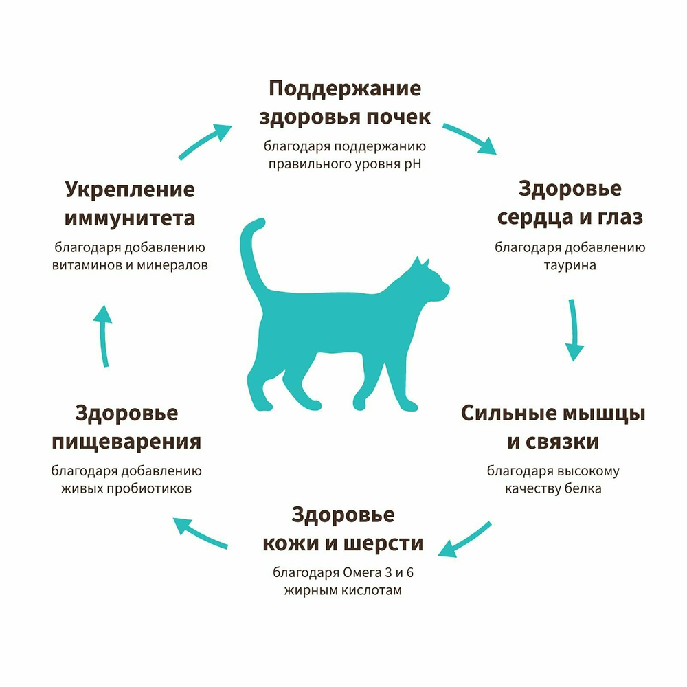 Корм сухой для кошек с белой рыбой и индейкой, пакет 400г, Grandorf Cat White Fish & Turkey Skin & Coat Care