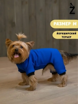 Комбинезон для собак кошек сфинкс кофта костюм для животных