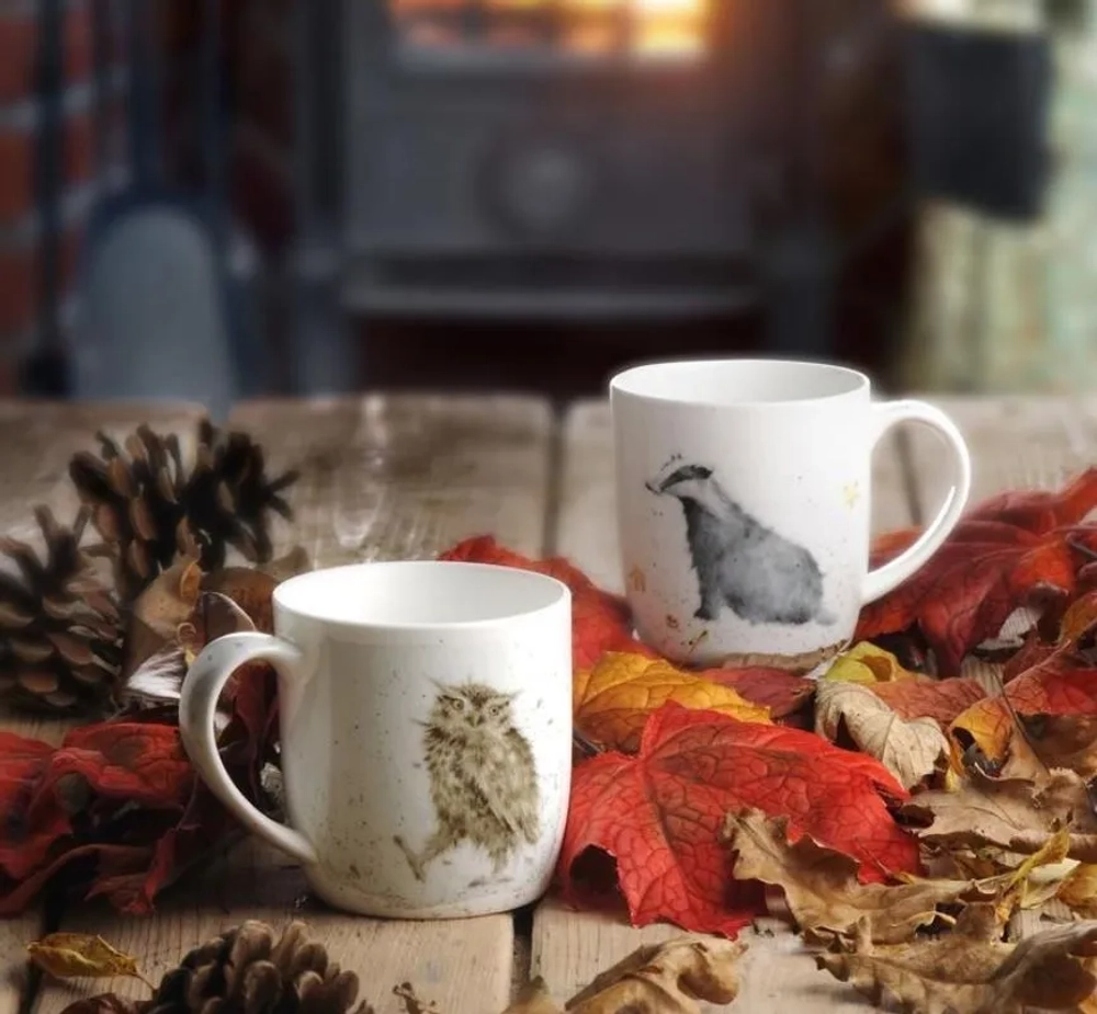 Royal Worcester Кружка Wrendale Designs 310 мл Какая сова Кружка PT-MMKD5629-XT