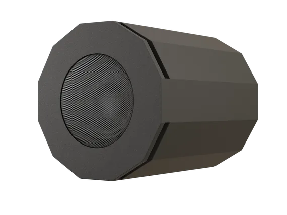 CVGAUDIO SUBone model DH-8BL/CR/T подвесной сабвуфер