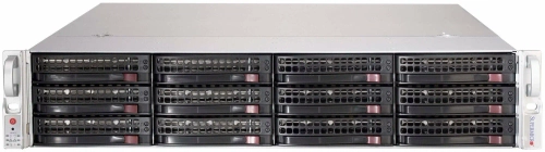 Серверная платформа 2U SUPERMICRO SSG-5029P-E1CTR12L