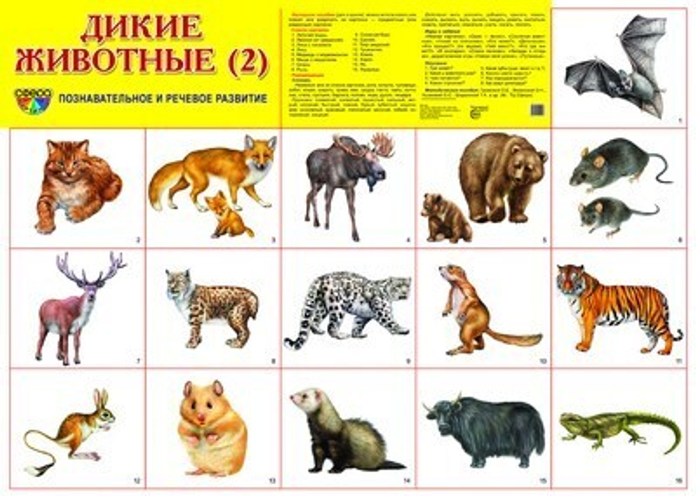 Плакат"Дикие животные" И