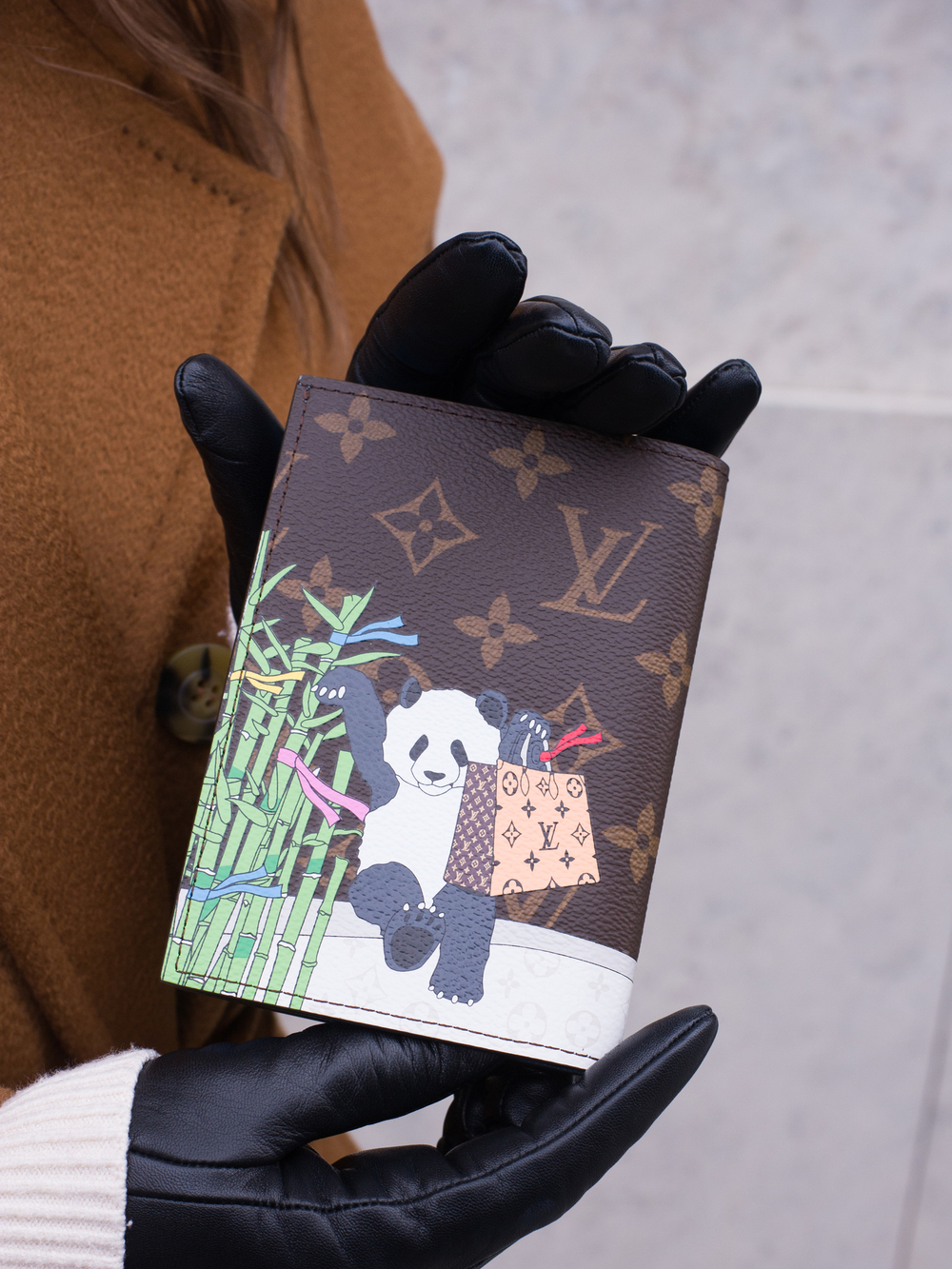 Louis Vuitton Обложка для паспорта