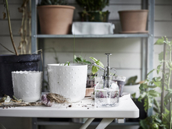 IKEA SESAMFRÖN  (ИКЕА СЕСАМФРЁН)  -  Опрыскиватель - стекло бесцветное 25 сл