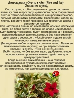 Дипладения Огонь и лёд Мандевила