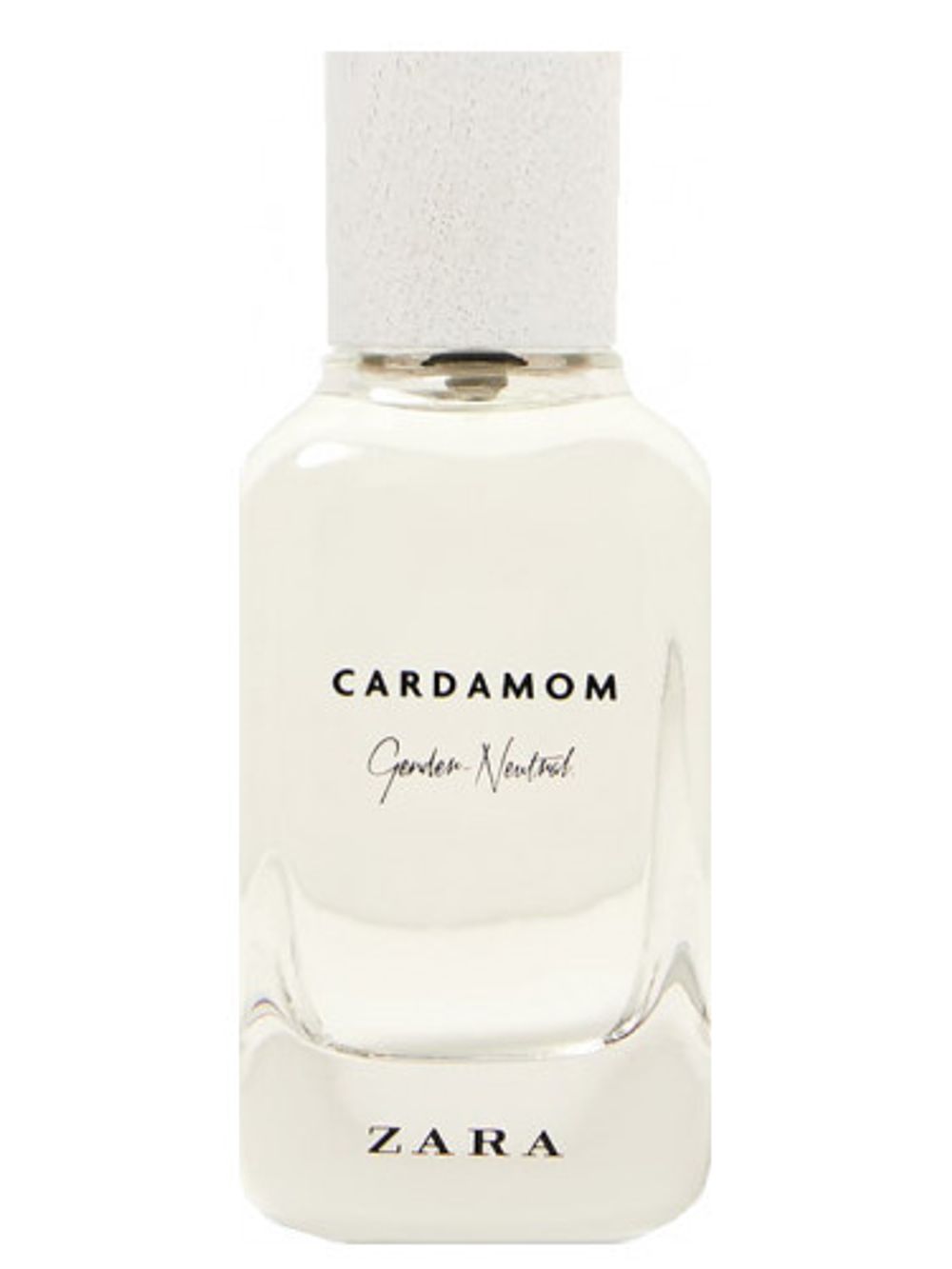 Zara Cardamom - Gender Neutral
