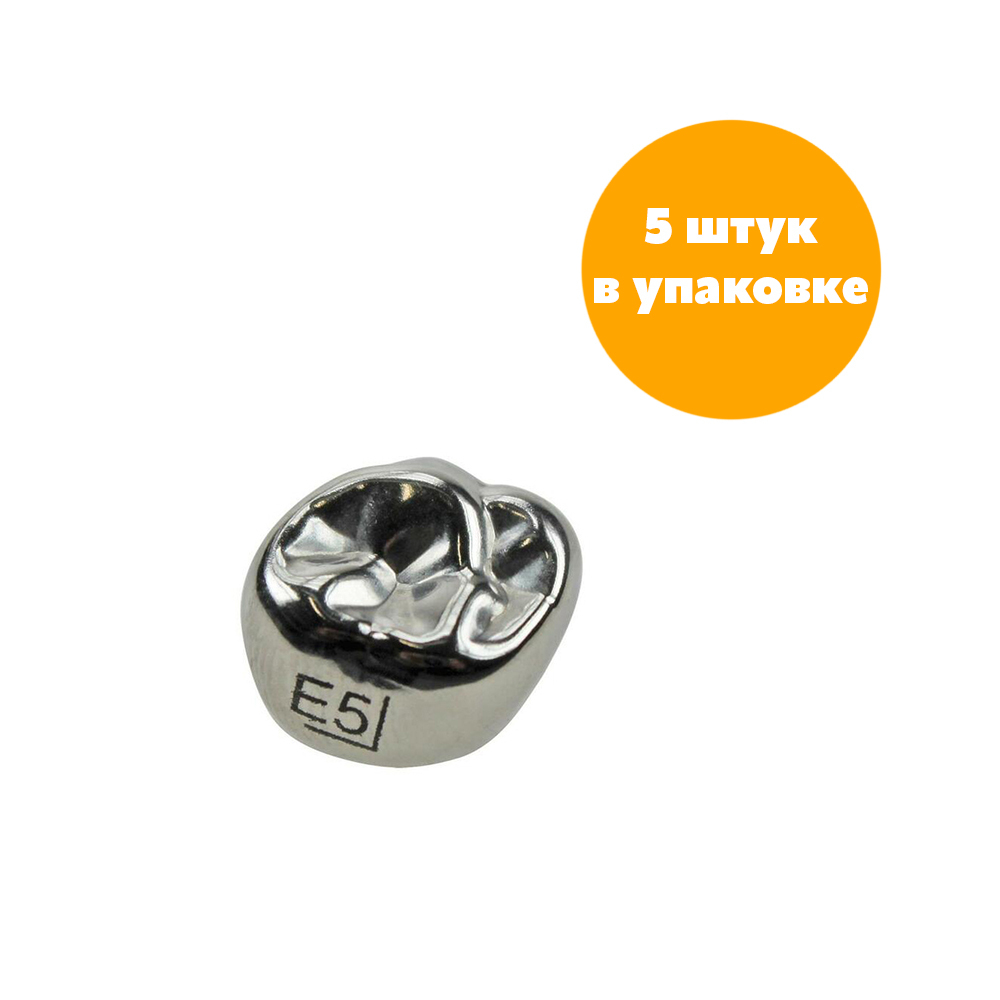 Второй верхний правый моляр, размер 5 (E-UR-5)