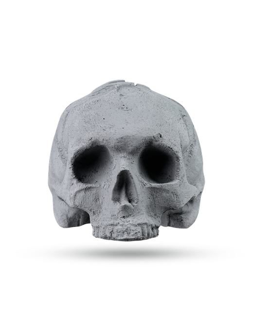 SKULL grey