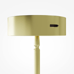 Подвесной светодиодный светильник Maytoni Frostum MOD439PL-L20BSK