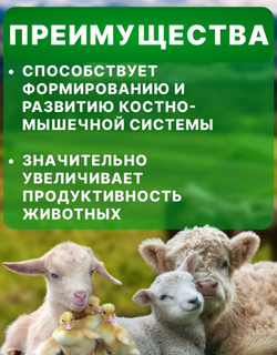 Мясокостная мука для куриц, собак, кошек,600 гр