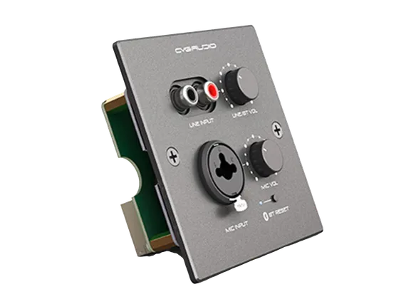 CVGAUDIO PW-IN/BL
