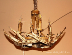 ROLL_&_HILL_Superordinate_Antler_Chandelier_www.delightful.su
