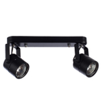Потолочный светильник Arte Lamp MIZAR A1311PL-2BK