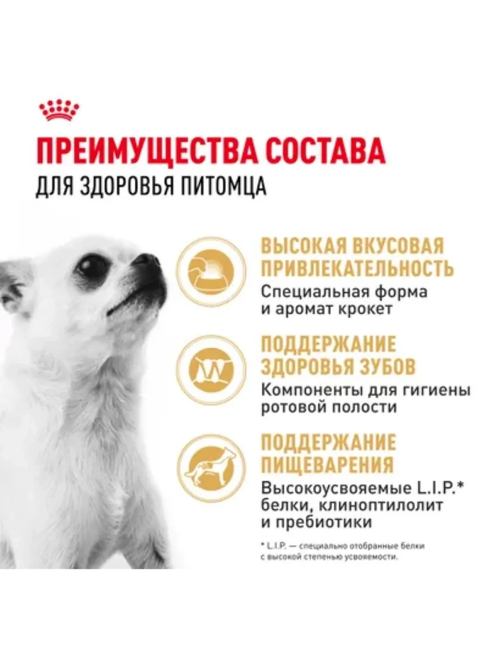 Chihuahua Корм для собак 1,5кг