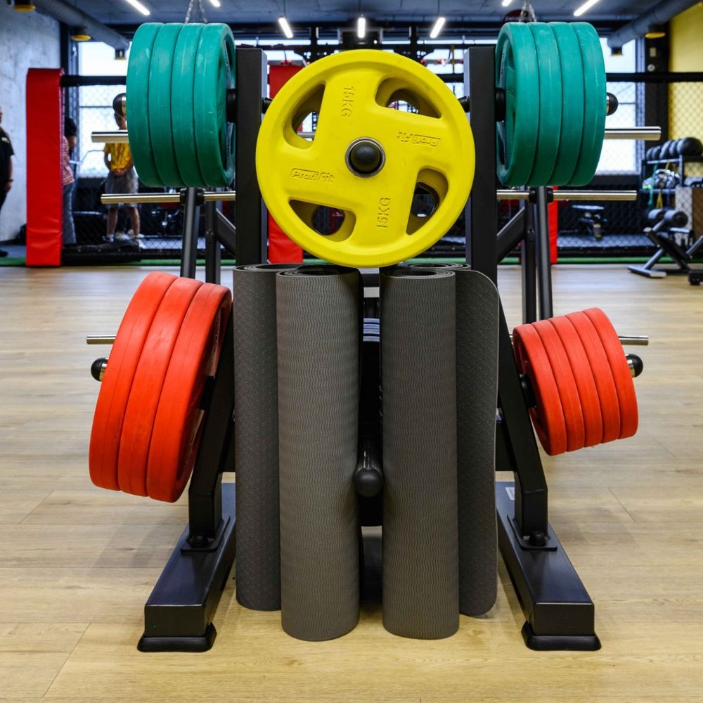 Диск обрезиненный (четыре хвата, цветной) D51 мм PROFI-FIT 25 кг
