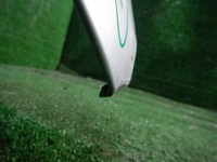 DSCN1198.JPG