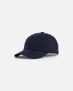 Кепка Anteater 6Panel Синий