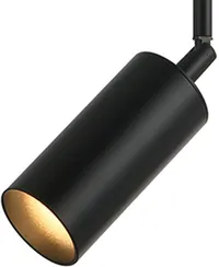 Спот Рия 07621-1,19 Kink Light