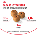 Royal Canin Siamese Adult Сиамиз Эдалт Корм сухой сбалансированный для взрослых сиамских кошек 400г