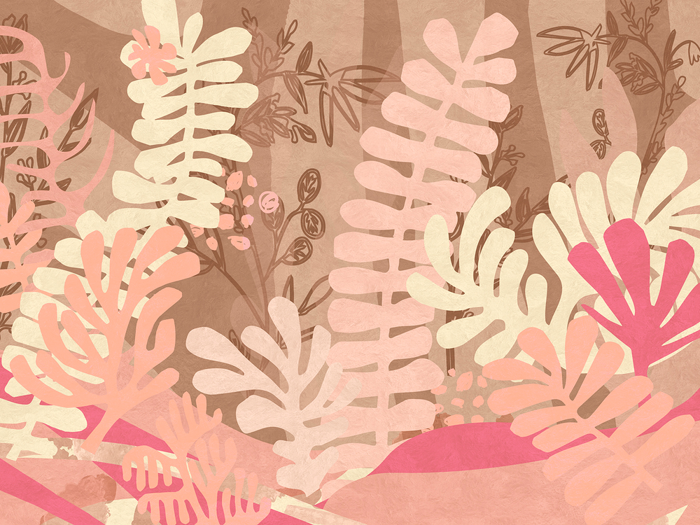 MATISSE 25
