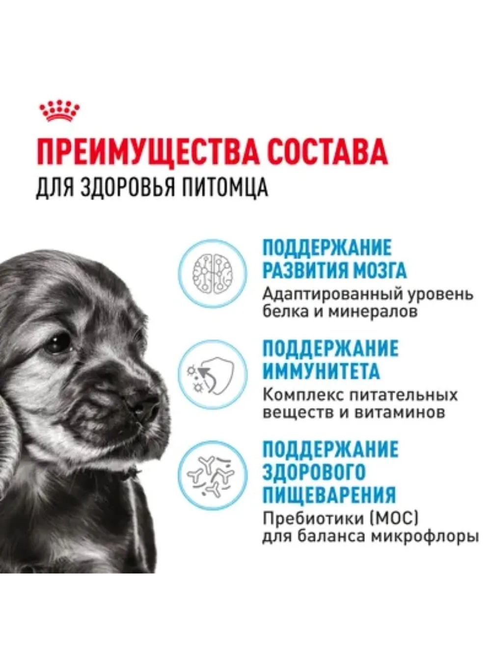 MINI Puppy 2кг Для щенков