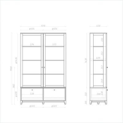 Витрина Case CS176/2D
