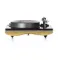 Gold Note Mediterraneo X B7 Gold