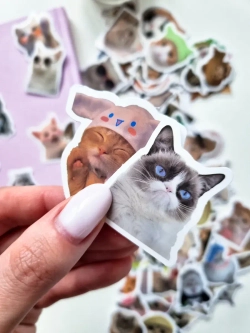 Наклейки мемные котики 100 шт