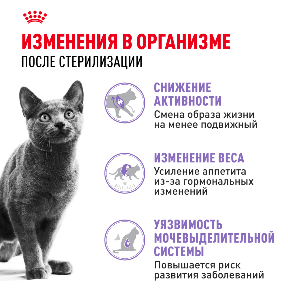 Сухой корм Royal Canin Sterilised 37 для кастрированных котов и стерилизованных кошек