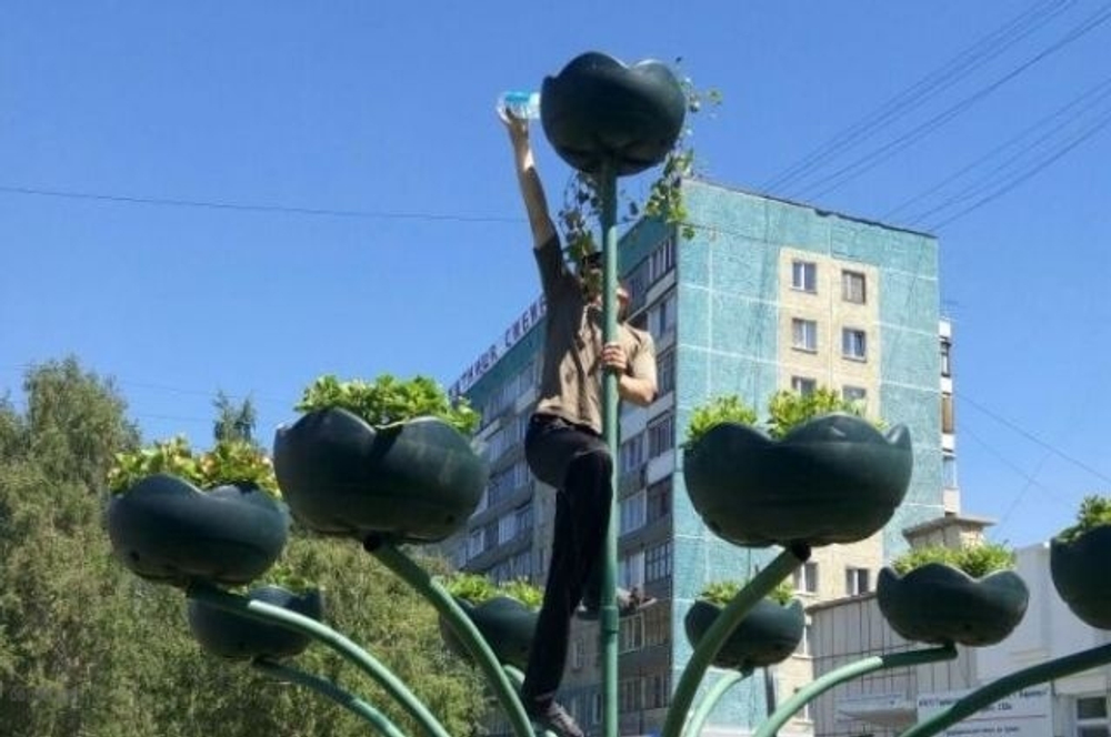 Цветочница Фиалка