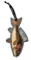 Əlfəcin \ Закладки \ Bookmark Eclectionery Bookmark Pens - Fish