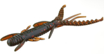 Виброхвосты съедобные Lucky John Pro Series HOGY SHRIMP 2.2" (56мм/10шт)