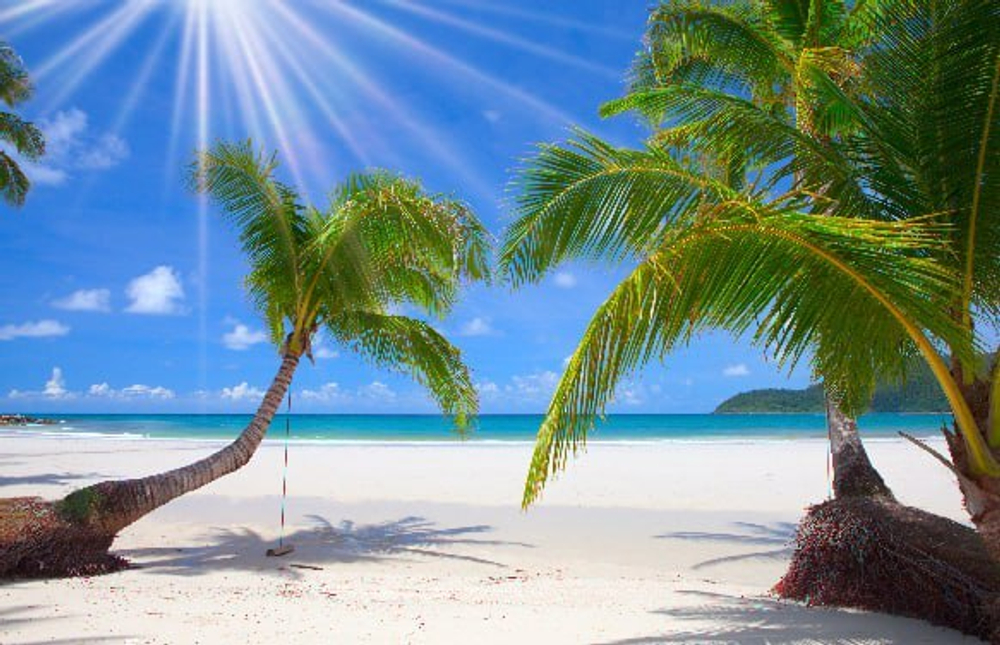 Природа 2 №48 Фотообои и Фрески ручной работы