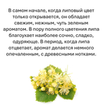 Липа, кубики восковые для ароматизации, 10 штук