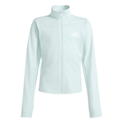Детская толстовка Adidas Kids Essentials Training - halo mint/white