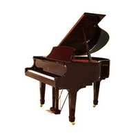 Weber Professional Grand W157
