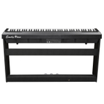 Emily Piano D-20