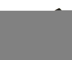 Ключ раскрывающийся 22мм 12-ти гранный L=225мм с трещоткой JTC