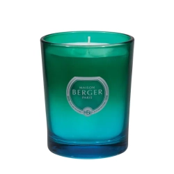 Maison Berger Paris Ароматическая свеча Dare 30h Zest Of Verbena EAN 3127290069566