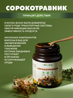 Сорокотравник, банка 800 г. Фитопаста – уникальный адаптоген, включает более 40 целебных растений
