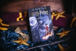 Harry Potter and the Deathly Hallows