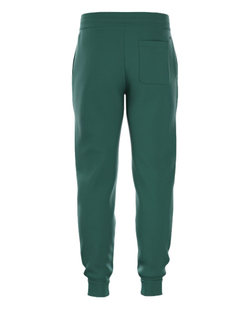 Мужские теннисные брюки Bj_rn Borg Essential 1 — posy green