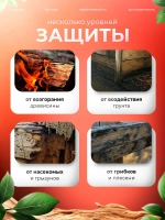 Огнебиозащита II группа PaintPRO 10л