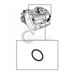 AG4.OR04 O-Ring