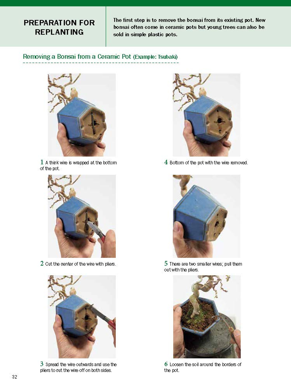 The Ultimate Bonsai Handbook: The Complete Guide for Beginners