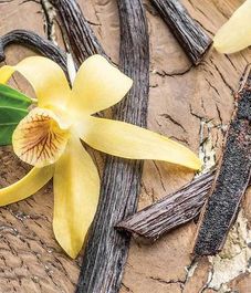 Ароматический воск Антизапах Ванильный боб Vanilla Bean, Candle Warmers
