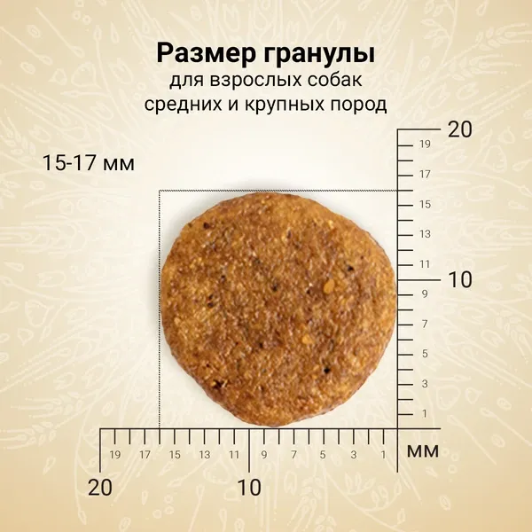 Сухой корм CRAFTIA NATURA для взрослых собак средних и крупных пород из лосося и сельди